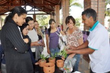 1ª Mostra de Orquídeas é sucesso
