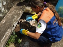 Agentes de saúde de Mariana alertam sobre cuidados para combater a dengue