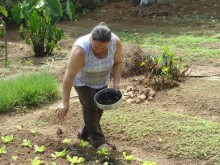 Agricultura familiar atende a 40 famílias em Mariana