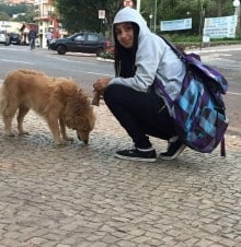 Animais abandonados causam transtorno e insegurança à população da região