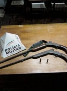 Apreensão de armas de fogo