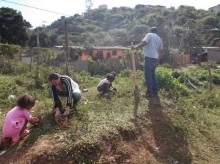 Bairro Santo Antônio recebe plantio de mudas