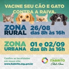 Campanha de vacinação antirrábica para cães e gatos começa dia 26 de agosto