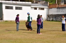 Estudantes de Itabirito assistem à apresentação de adestramento de cães