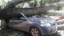 Forte chuva derruba árvore em cima de veículo e casa em Itabirito