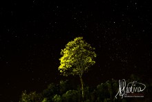 Fotografia de Sanderson Pereira ganha capa de livro