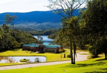 Gerdau Germinar expande consciência ambiental nas áreas de atuação da gigante do metal