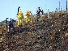 Incêndios se propagam em Ouro Preto
