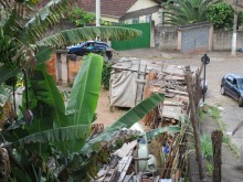 Infestação de escorpiões amarelos assusta moradores de Itabirito