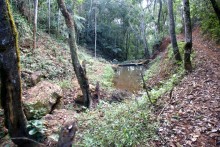 Iniciado projeto de recuperação de nascentes de Mariana