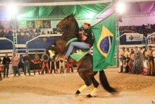 Itabirito Rodeio Festival: emoções em uma festa de peão de verdade