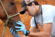 Mais de 200 propriedades rurais recebem assistência veterinária