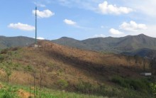 Mais de 500 mudas são destinadas ao reflorestamento do Parque Ecológico Municipal