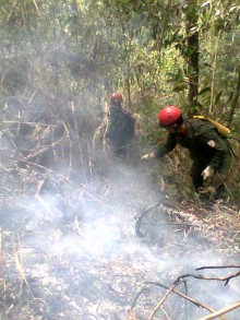 Montanhas da região ardem em chamas