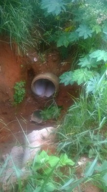 Moradores do Vila Alegre se sentem abandonados pela Prefeitura