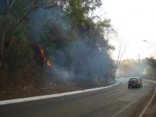 Natureza da região pede socorro