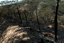 Prefeitura alerta sobre riscos das queimadas