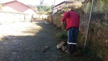 Prefeitura de Ouro Preto reforça limpeza e capina de ruas