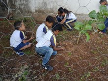 Projeto educativo estimula a criação de hortas nas escolas