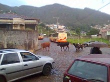 Turismo especial em Ouro Preto