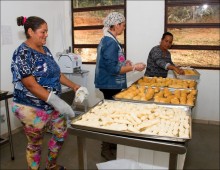 Unidade de Processamento de Quitandas será construída na Mata dos Palmitos