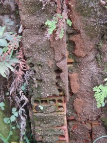 Vazamentos em Caixa d’água da Rua Cerejeira, no Alto do Rosário