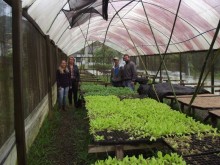 Viveiro Municipal de Mudas de Hortaliças retoma as atividades