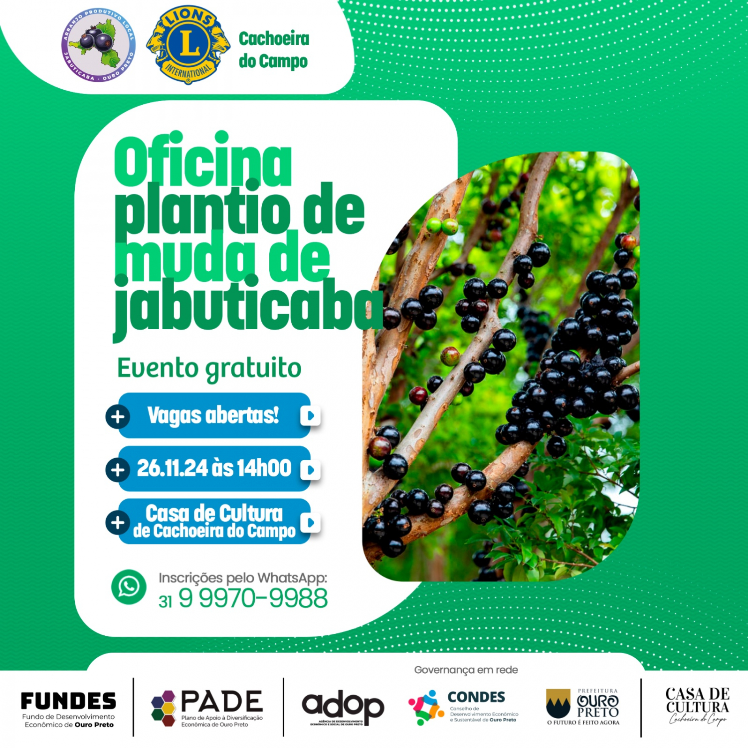 Cachoeira do Campo recebe Oficina de Plantio de Jabuticaba; saiba como participar