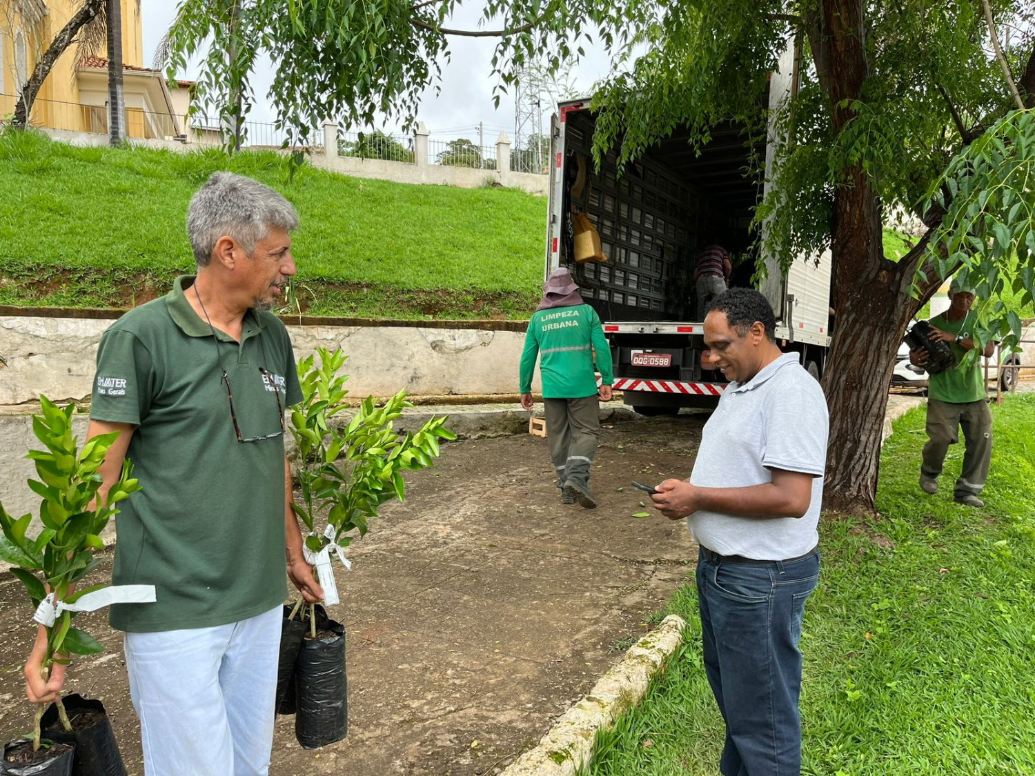 Secretaria de Agropecuária realiza distribuição de mudas de frutas para 192 famílias em Ouro Preto