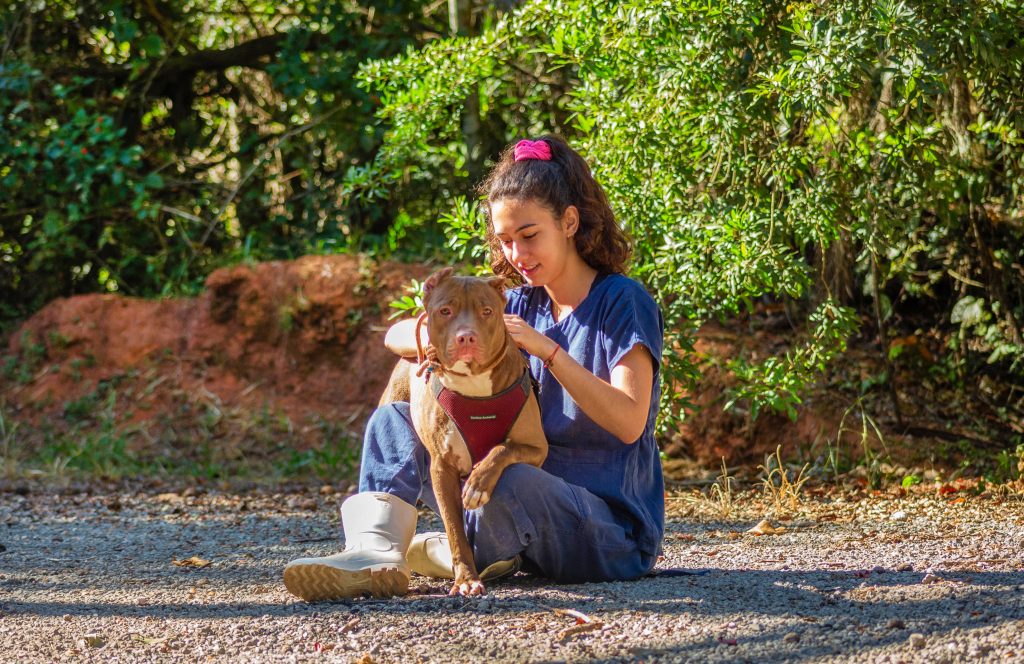 Dia Internacional dos Direitos dos Animais: Itabirito celebra avanços no serviço de vigilância de controle animal