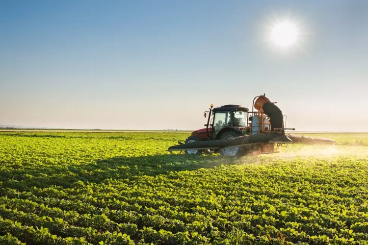 Agro supera mineração e lidera exportações do estado