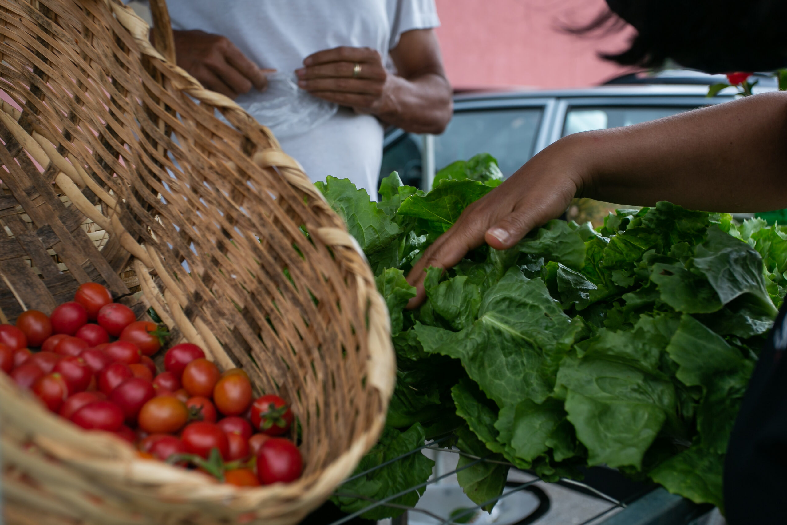Feira do Produtor de Cachoeira do Campo celebra edição junina neste sábado com música boa e pastel “de Santo Antônio”