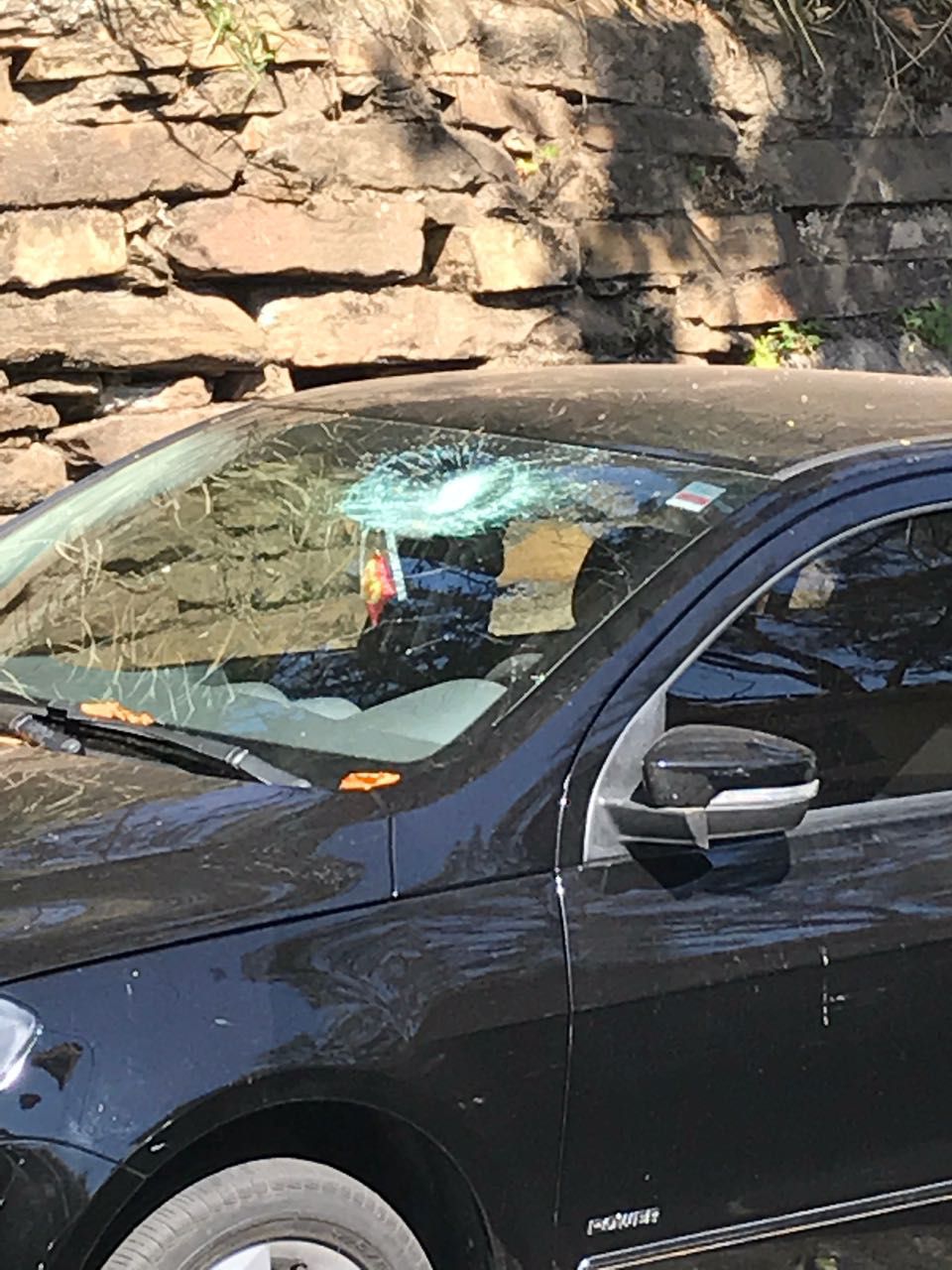 Acidentes e prejuízos: entenda como a fruta abacate está no centro de problemas vividos por moradores de Ouro Preto