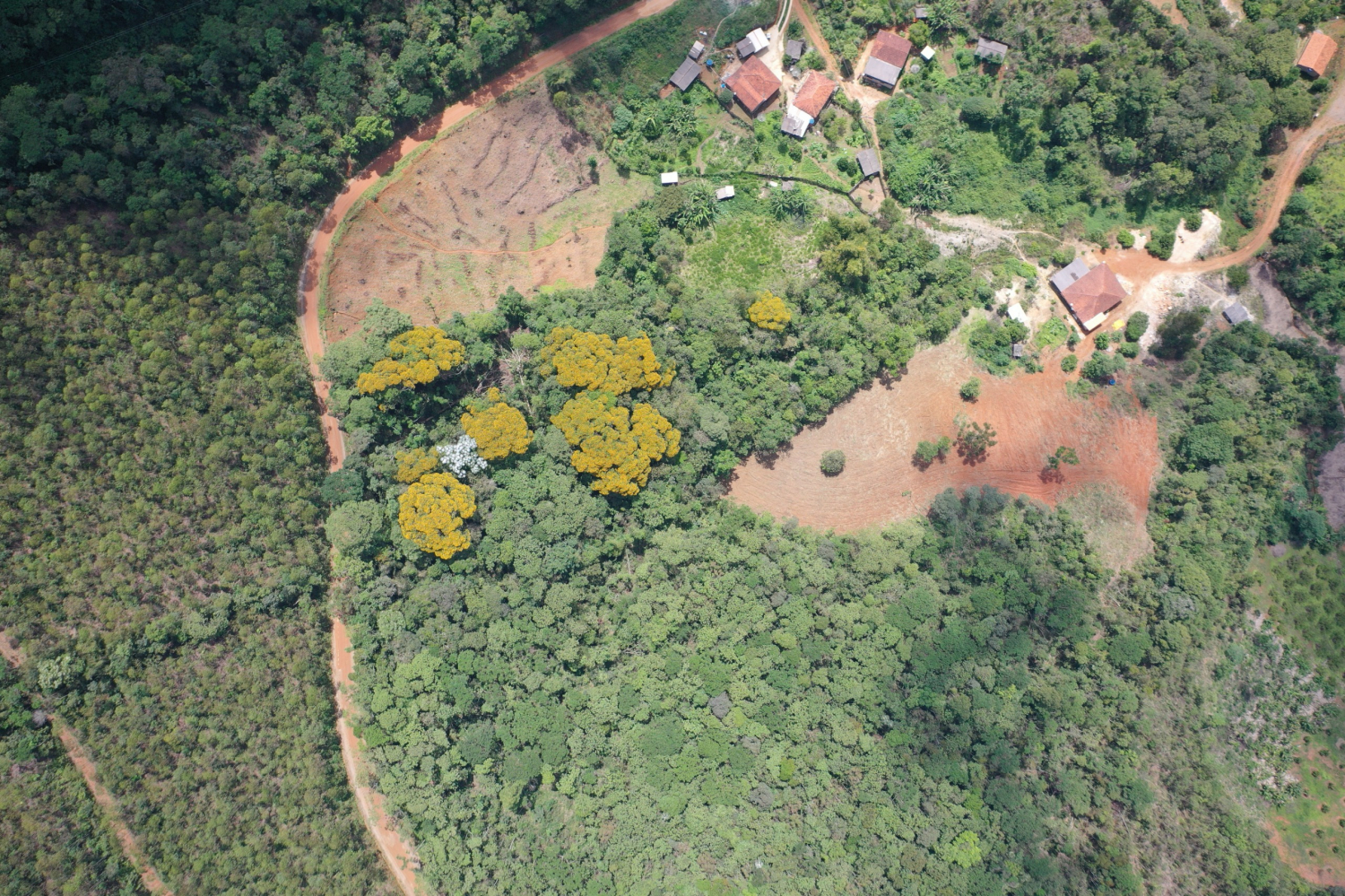 Zoneamento Ambiental e Produtivo: Ouro Preto é pioneiro no Estado no uso de ferramenta de desenvolvimento agropecuário
