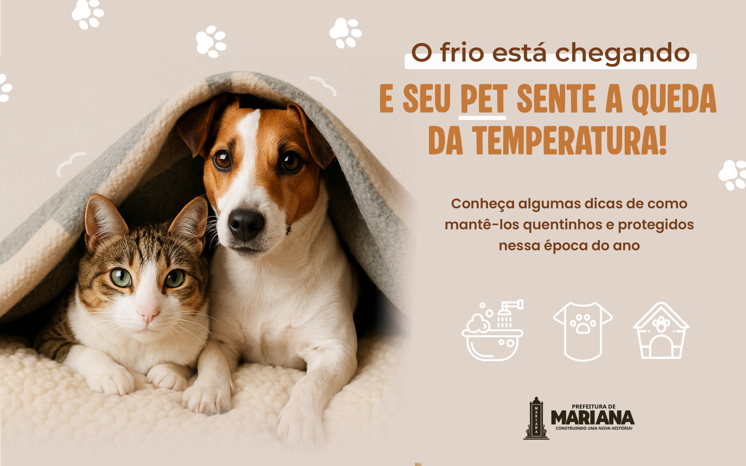 Com a queda das temperaturas, os pets também sentem frio: veja como protegê-los no inverno