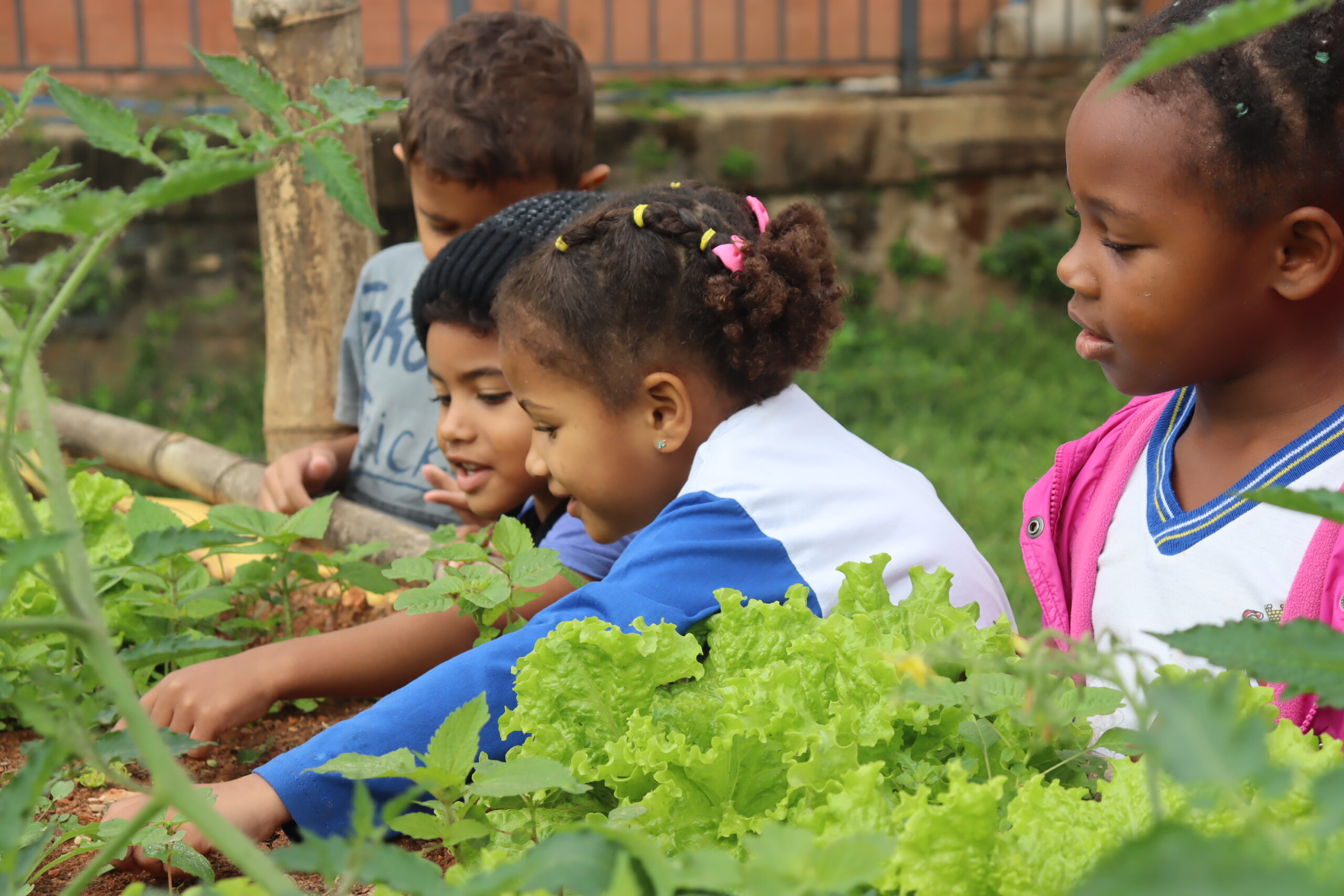 Horta suspensa transforma alimentação e vínculos na Escola Municipal Geraldo Timóteo, em Bandeirantes