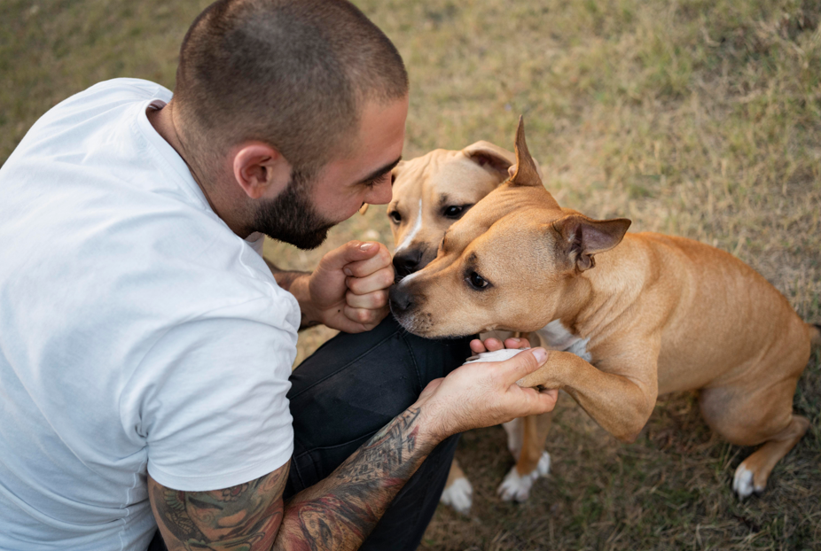 Itabirito cria programa de apoio a cuidadores voluntários de animais