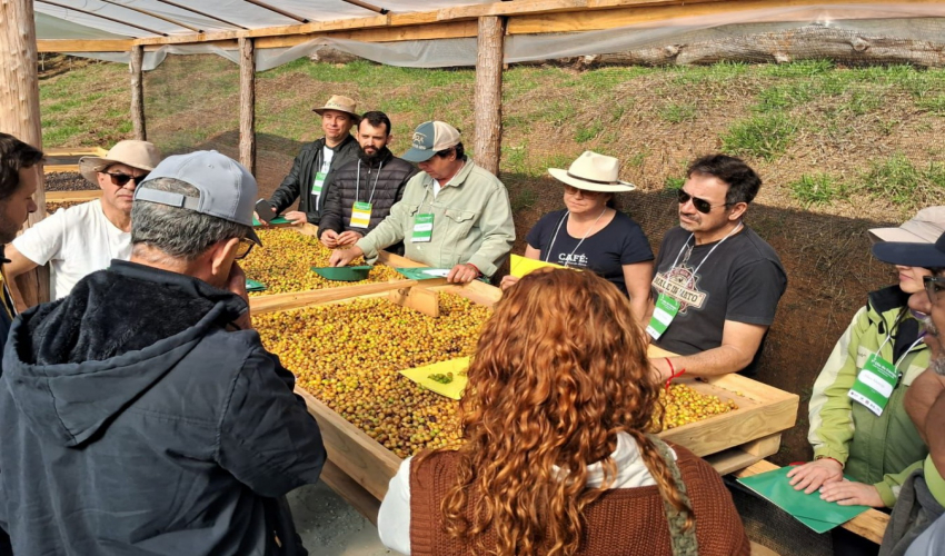 Produtores rurais se organizam para viabilizar criação de marca de café em Ouro Preto