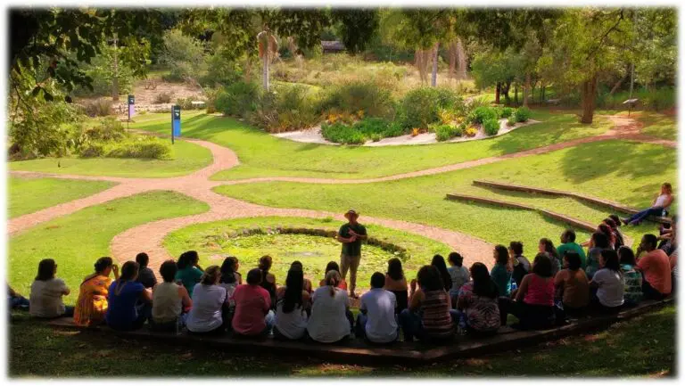 Gerdau Germinar: programa celebra 35 anos e promove educação ambiental para municípios mineiros