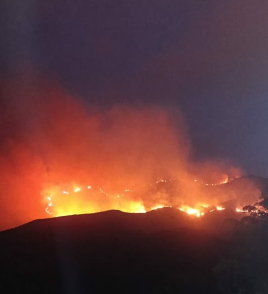 Incêndio de grandes proporções atinge área de mata entre Ouro Preto e Mariana