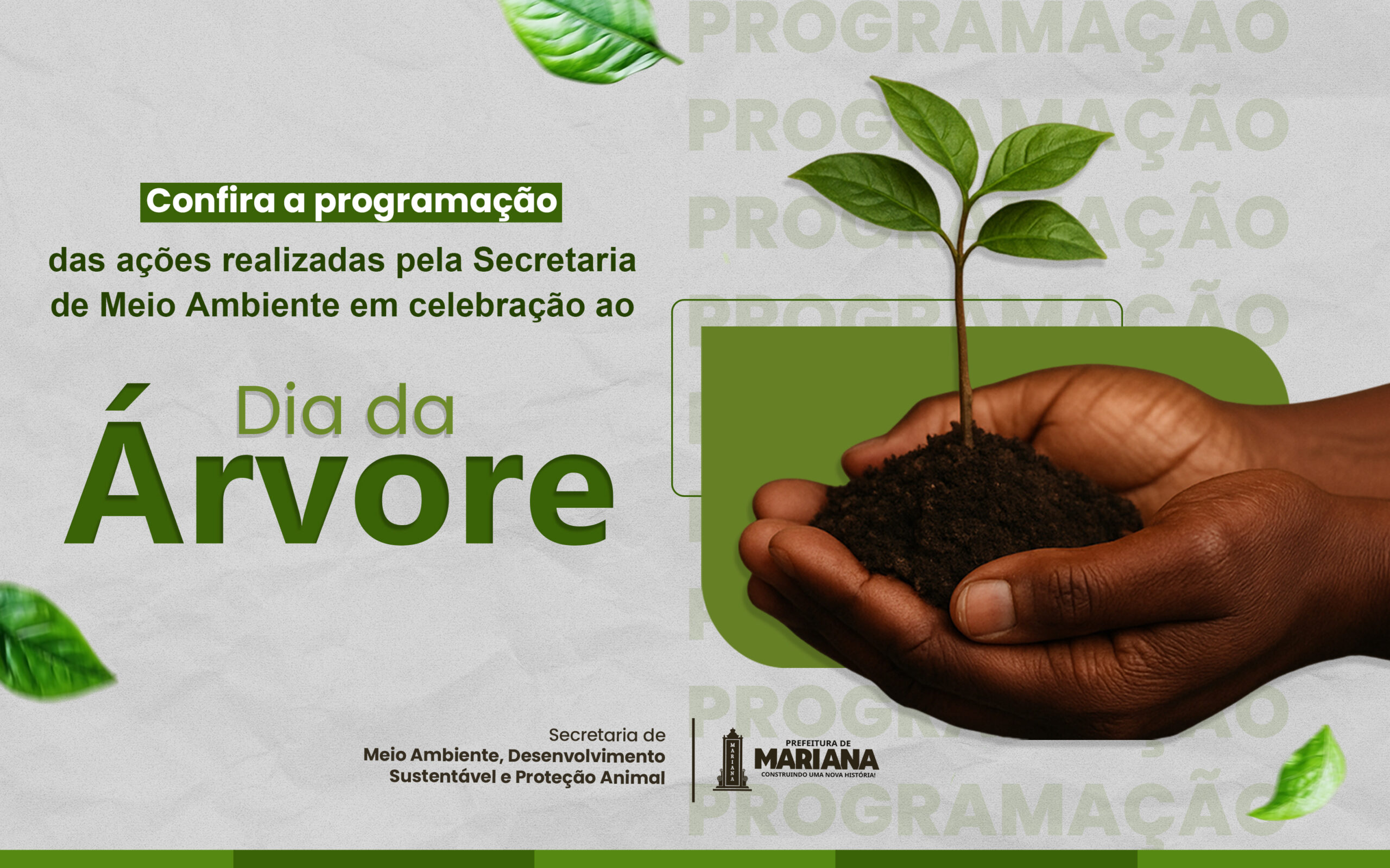 Prefeitura de Mariana realiza ações para celebrar o Dia da Árvore