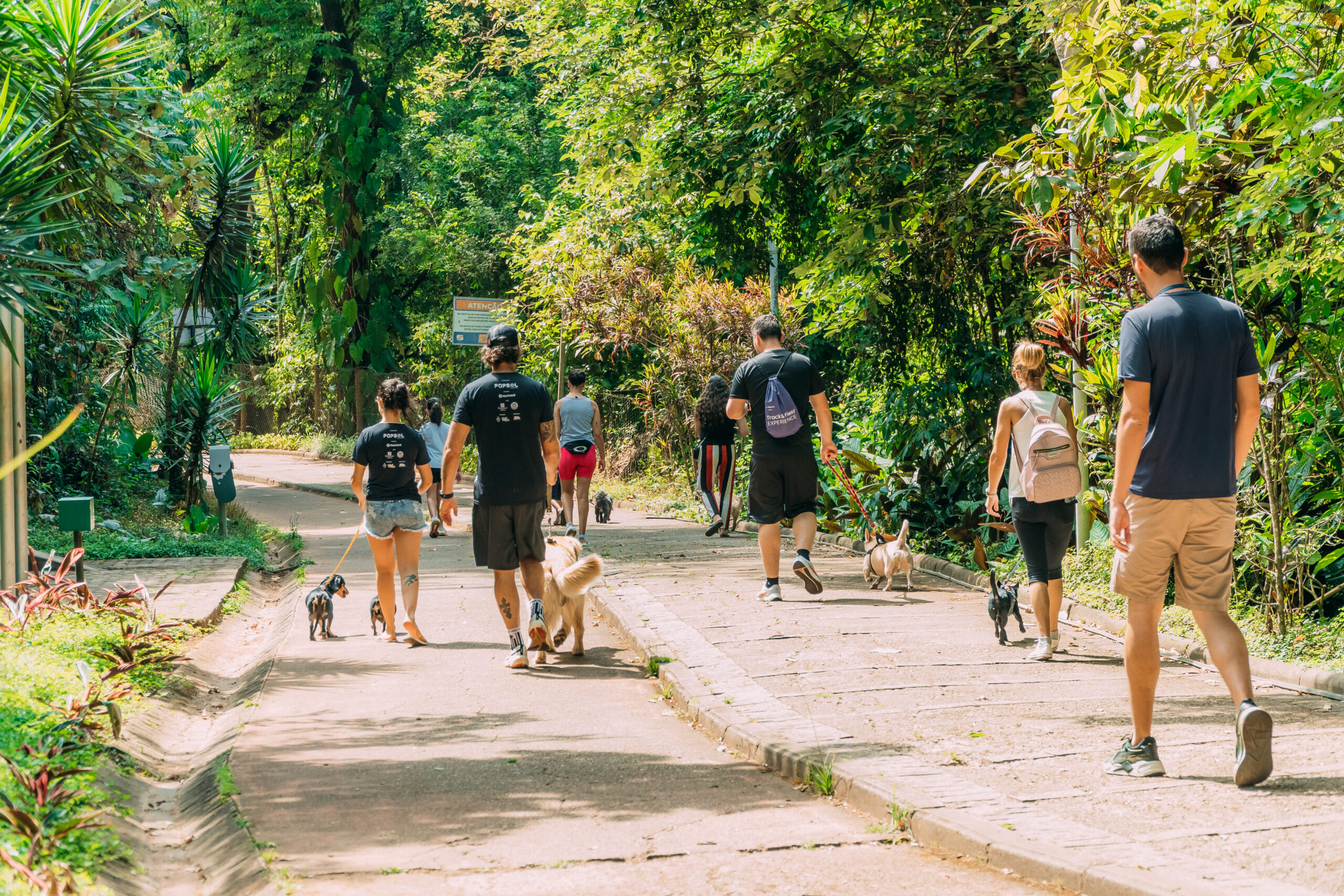 Prefeitura de Itabirito realiza CãoMinhada e inaugura o ParCão no Parque Ecológico