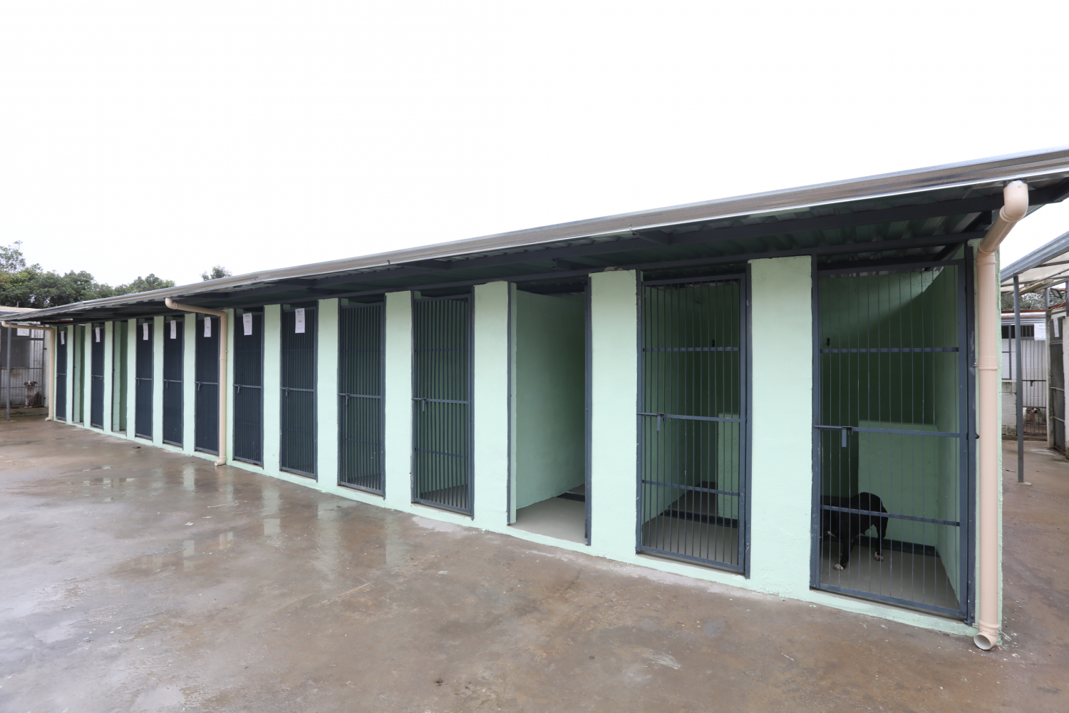 Prefeitura de Ouro Preto amplia estrutura do Centro de Acolhimento Transitório de Animais