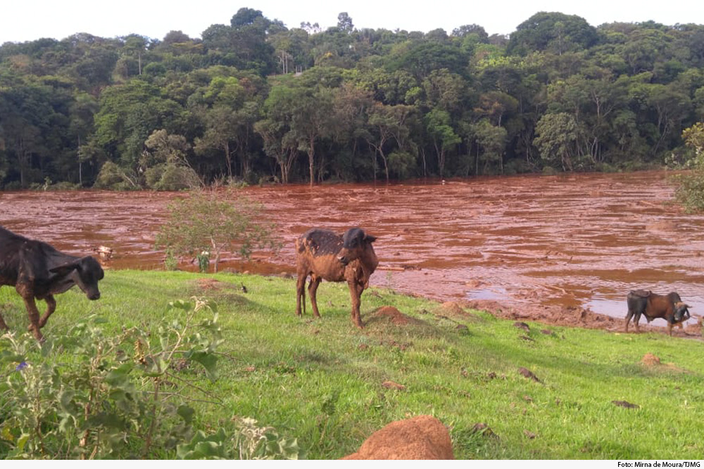 Justiça obriga Vale a repassar R$ 234 milhões para auxílio emergencial