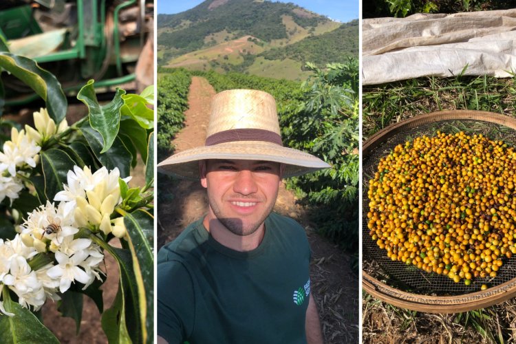 Sítio Cascalho: histórias de superação na cafeicultura