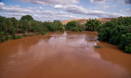 Peixes do Rio Doce: estudo revela que pescado pode continuar impróprio para consumo e representar riscos à saúde humana anos após tragédia de Mariana