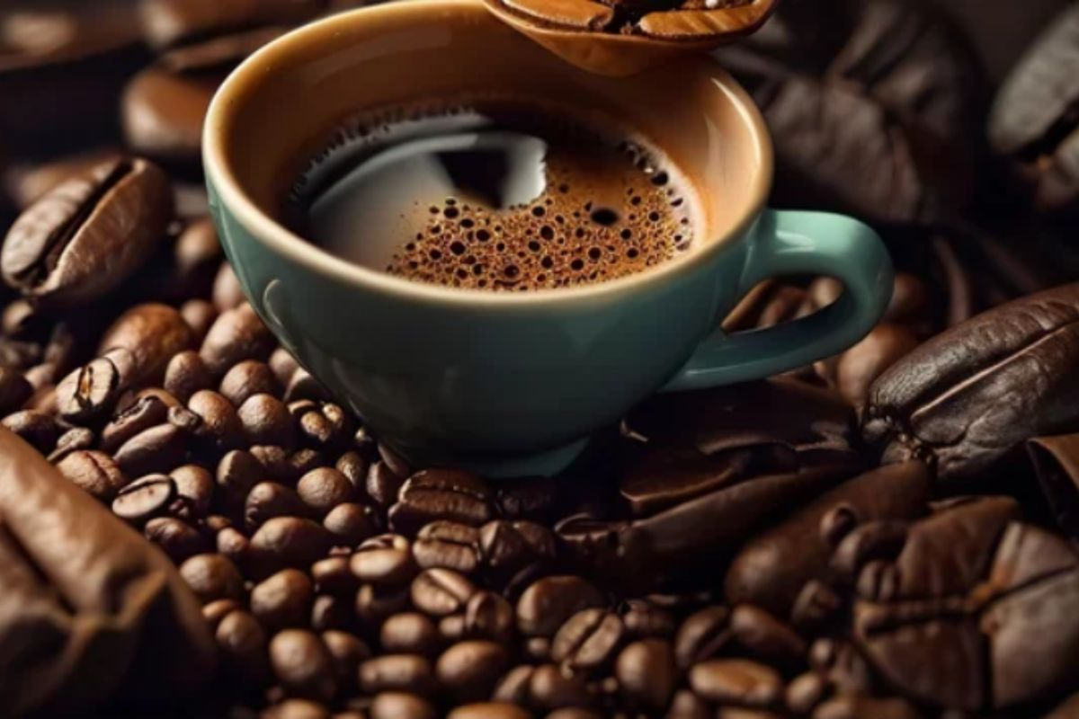 Ouro Preto aposta na produção de cafés especiais e fortalece o cultivo