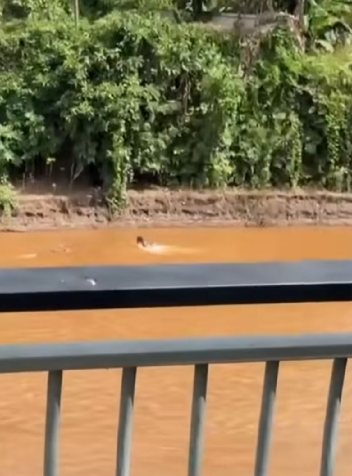 Fuga de suspeito pelo leito do rio chama atenção no Centro de Itabirito