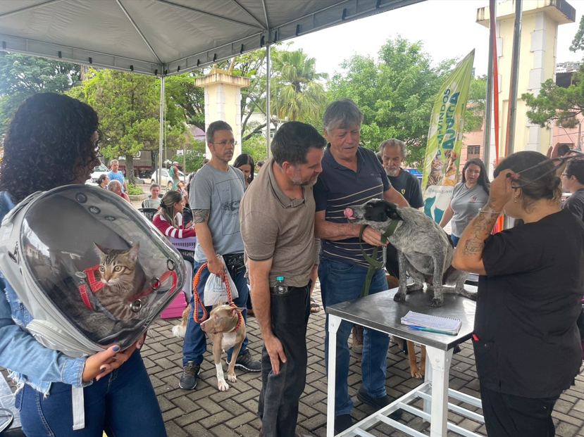 Itabirito realiza mutirão gratuito e castra mais de 200 cães e gatos no município