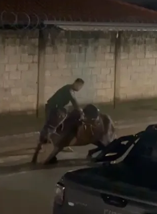 Homem é preso por maus-tratos contra égua em Mariana; Polícia Ambiental pode multar homem em cerca de R$ 3 mil